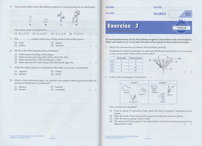 Singapore Science Primary School Grades 1-6 SAP Learning + Conquer Science Science Subject Workbook Knowledge Series