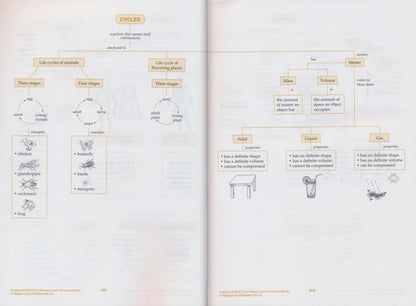 Singapore Science Primary School Grades 1-6 SAP Learning + Conquer Science Science Subject Workbook Knowledge Series